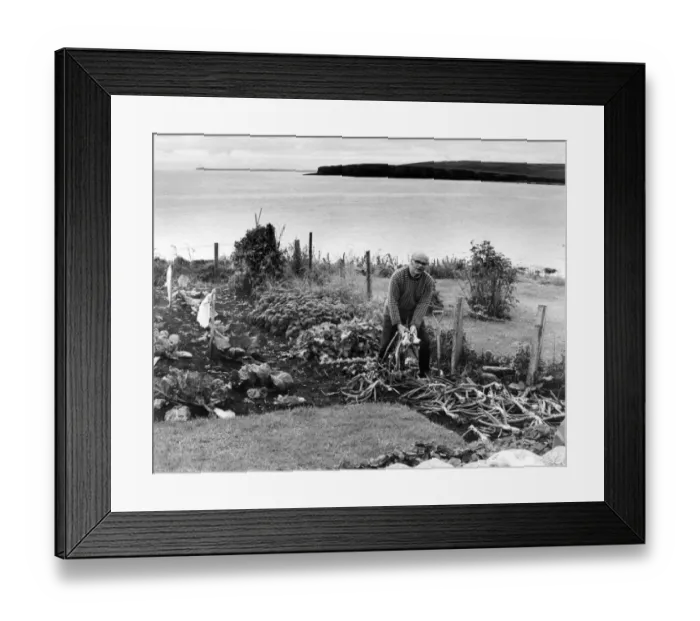 Framed Print : John Mowat in his cottage garden by the sea in Freshwick Caithness Scotland seen Framed Print : John Mowat in his cottage garden by the sea in Freshwick Caithness Scotland seen