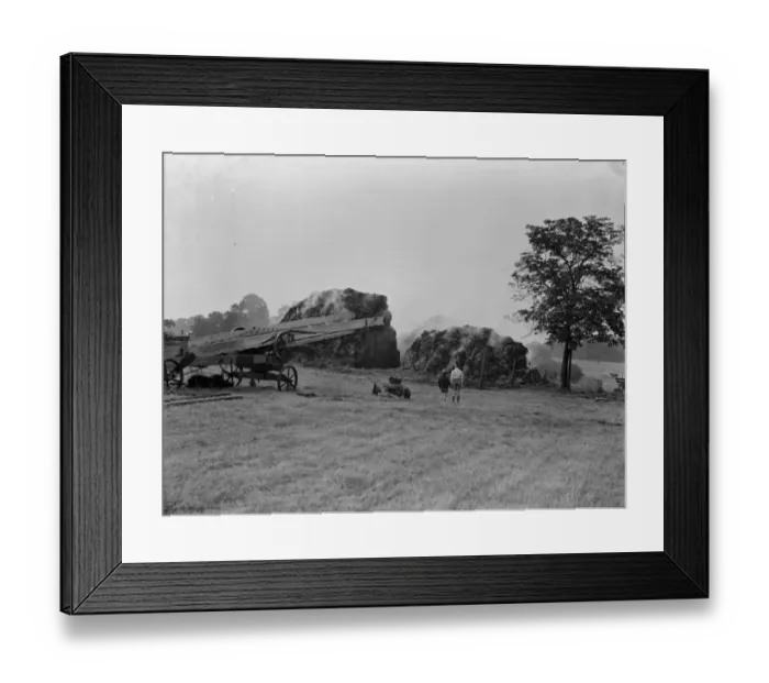 Framed Print : Fire, haystacks, Longlands. 1937 Framed Print : Fire, haystacks, Longlands. 1937
