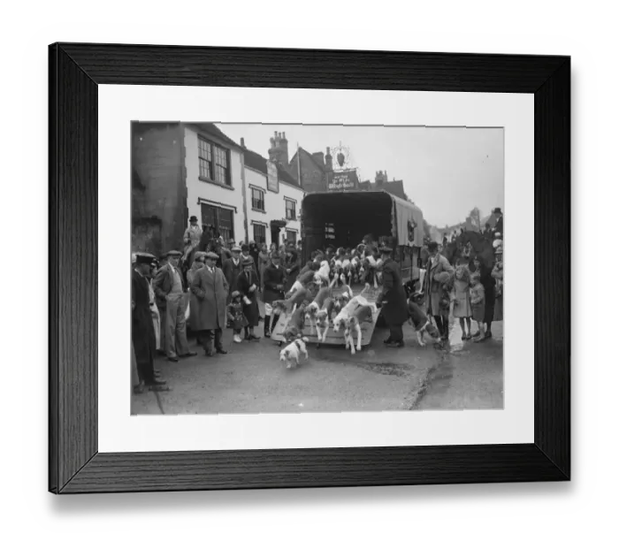 Framed Print : Hunting scenes in Bletchingley, Surrey. The hounds are let out from the trailer