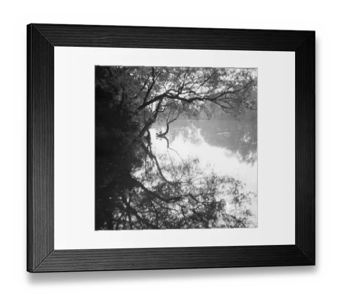 Framed Print : A tree overhanging a lake. 1936 Framed Print : A tree overhanging a lake. 1936