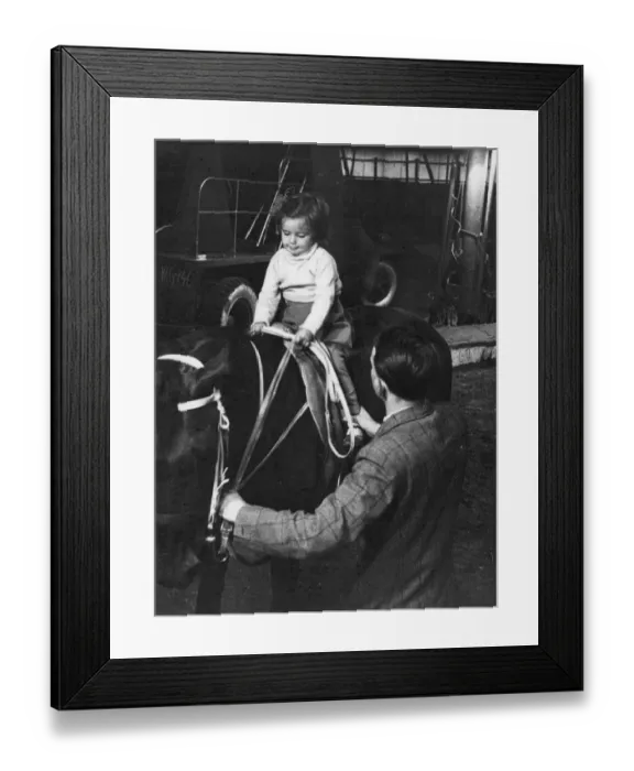 Framed Print : Jane Chipperfield is shown some of the finer points of horsewomanship by uncle John Framed Print : Jane Chipperfield is shown some of the finer points of horsewomanship by uncle John