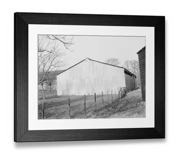 Framed Print : Bullocks shed on a farm. 1936 Framed Print : Bullocks shed on a farm. 1936