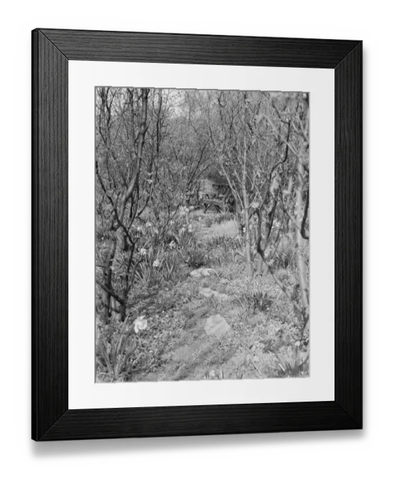 Framed Print : Mr Swans house and garden at 21 Rectory Lane in Sidcup, Kent. 1939 Framed Print : Mr Swans house and garden at 21 Rectory Lane in Sidcup, Kent. 1939