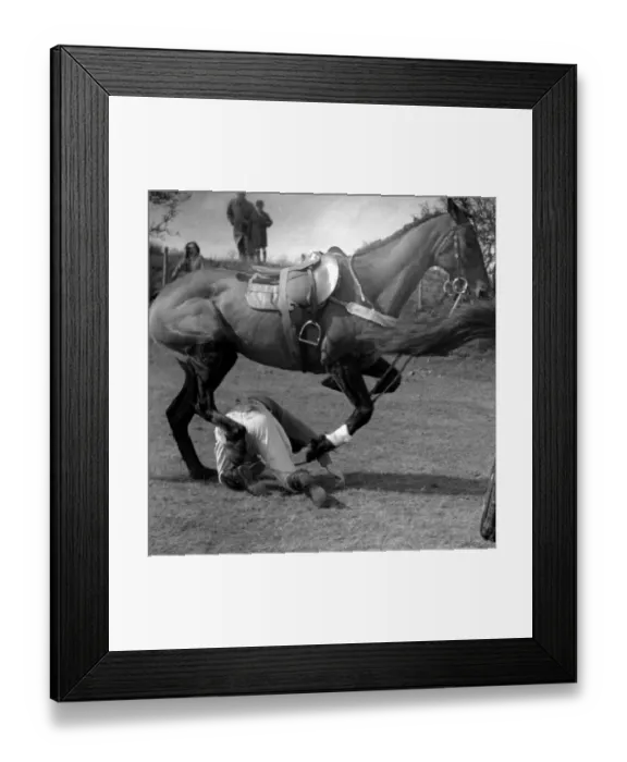 Framed Print : John Topham slide show John Topham presentation Topham lecture Jockey trampled by Framed Print : John Topham slide show John Topham presentation Topham lecture Jockey trampled by