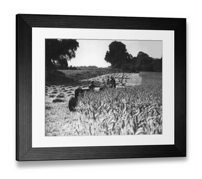 Framed Print : Two pictures taken from almost the same viewpoint on grays Farm Estate (LCC) near Orpington Framed Print : Two pictures taken from almost the same viewpoint on grays Farm Estate (LCC) near Orpington