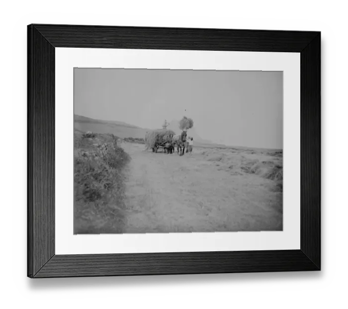 Framed Print : Haymaking, Gurnards Head, Cornwall. Horse, cart, farmer, pitchfork. 1933 Framed Print : Haymaking, Gurnards Head, Cornwall. Horse, cart, farmer, pitchfork. 1933