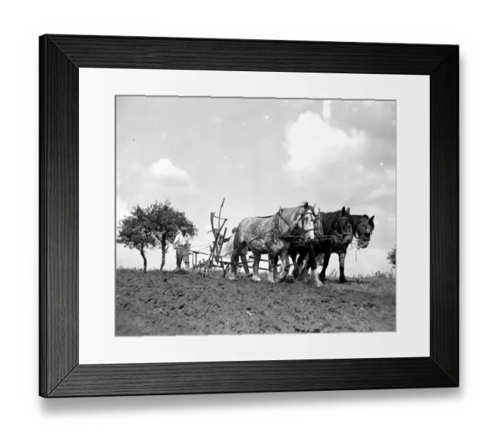 Framed Print : Ploughing Scene. 1934