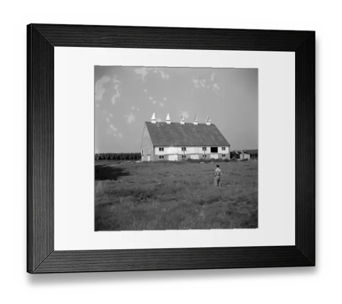 Framed Print : A new type of oast house in Paddock Wood, Kent. 1936 Framed Print : A new type of oast house in Paddock Wood, Kent. 1936