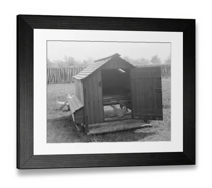 Framed Print : A poultry house. 1939