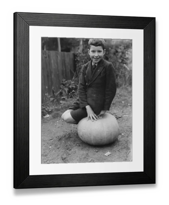 Framed Print : Edward Harrison from North Cray, Kent, poses with the pumpkin that he grew. 1938 Framed Print : Edward Harrison from North Cray, Kent, poses with the pumpkin that he grew. 1938