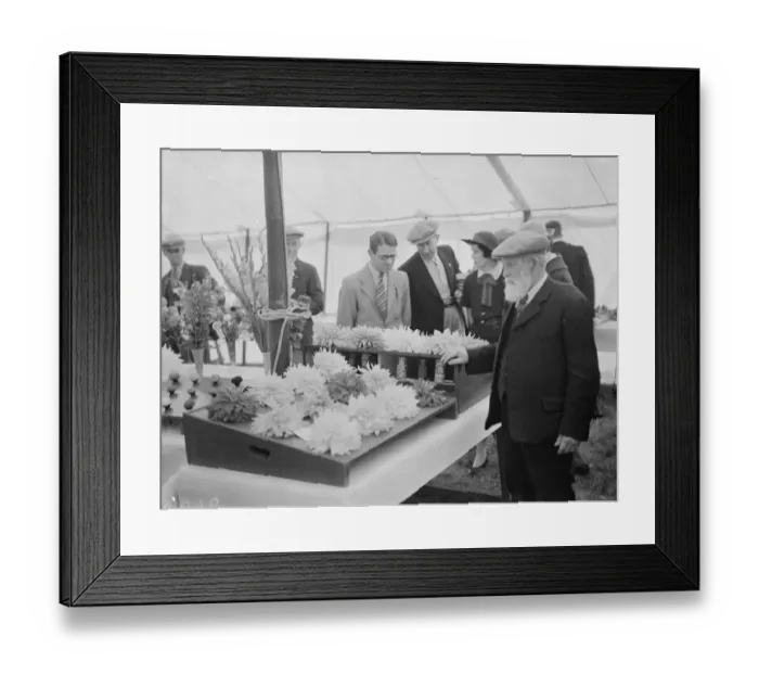 Framed Print : The Longfield Flower Show, Kent. 1938 Framed Print : The Longfield Flower Show, Kent. 1938