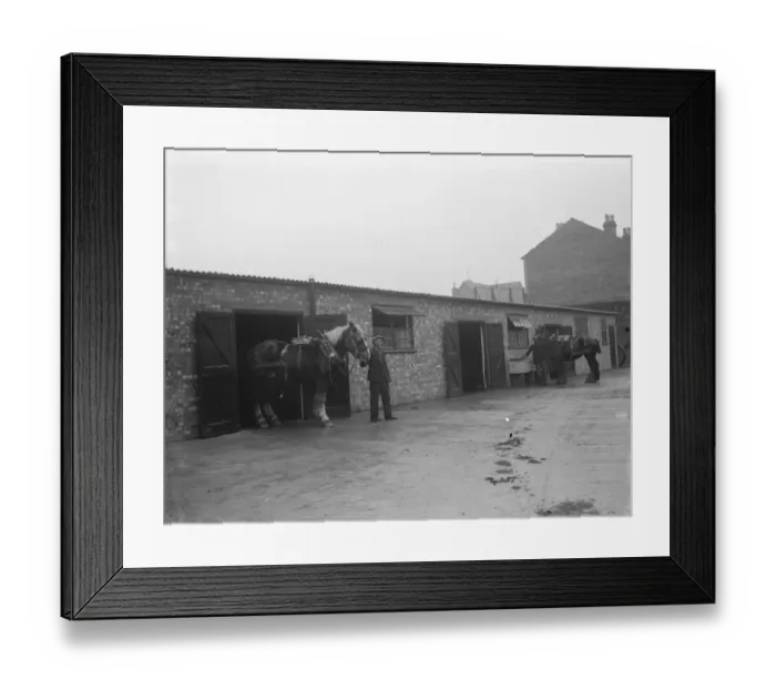Framed Print : A man walks a horse out of the stables. 1936