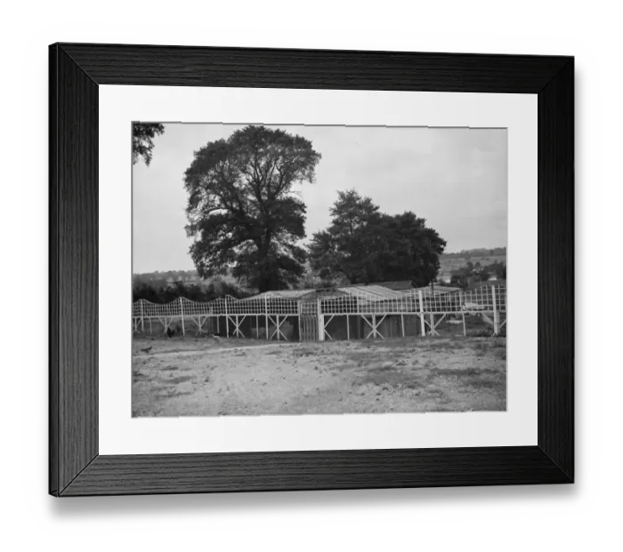 Framed Print : The garden of cottage on Sandy lane in Cray Valley, Kent. 1938