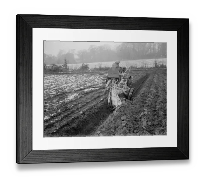Framed Print : A ploughing demonstration with the new Melotte tractor. 1936 Framed Print : A ploughing demonstration with the new Melotte tractor. 1936