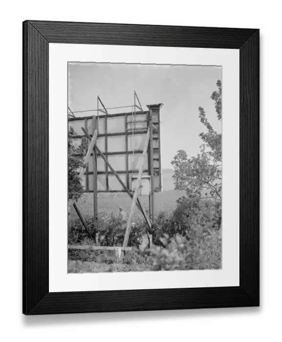 Framed Print : Birds nests in the back of an advertising hoarding, Ruxley, Kent