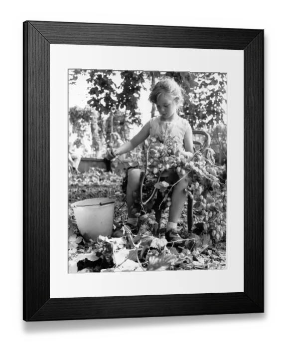 Framed Print : Study of the young hopper 6 year old Doreen Ferns from Welling Kent 1958 Framed Print : Study of the young hopper 6 year old Doreen Ferns from Welling Kent 1958