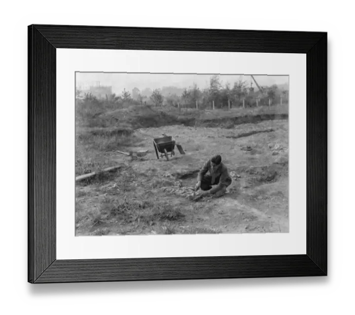 Framed Print : Mr Greenfield at the site where excavation is under way to dig up a Roman villa in Framed Print : Mr Greenfield at the site where excavation is under way to dig up a Roman villa in