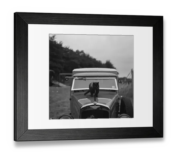 Framed Print : A cat stands watch over an Austin van in Tunbridge Wells, Kent. 1936