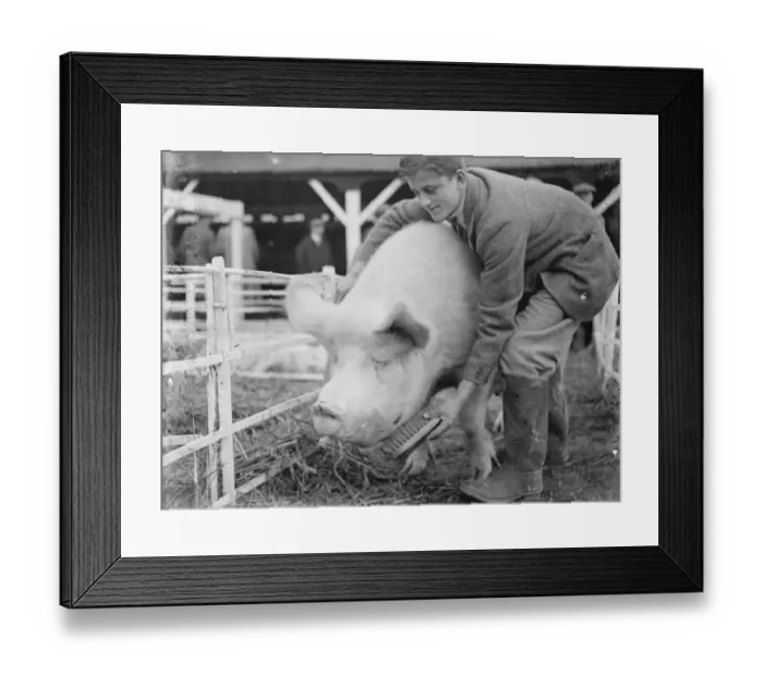Framed Print : Dartford Fs Show. Break up. 1934 Framed Print : Dartford Fs Show. Break up. 1934