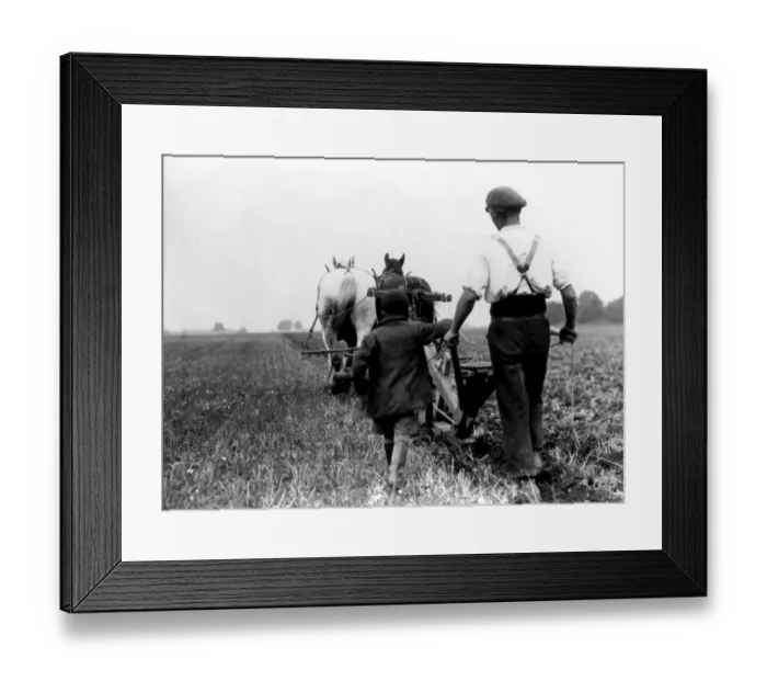 Framed Print : Ploughing, Kingsdown, Kent with old Kent plough 1936