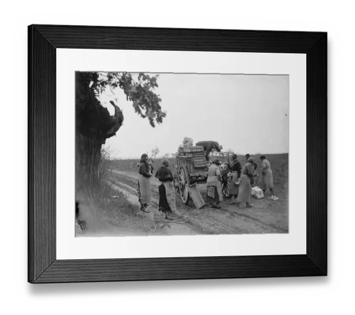 Framed Print : December raspberries. 1934 Framed Print : December raspberries. 1934