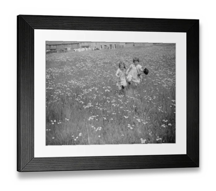 Framed Print : Children picking daisies. 1939 Framed Print : Children picking daisies. 1939
