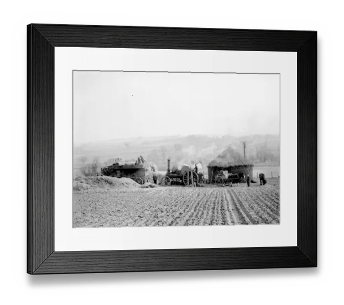 Framed Print : Steam threshing machines travelled from farm to farm. Water for the engine was brought Framed Print : Steam threshing machines travelled from farm to farm. Water for the engine was brought