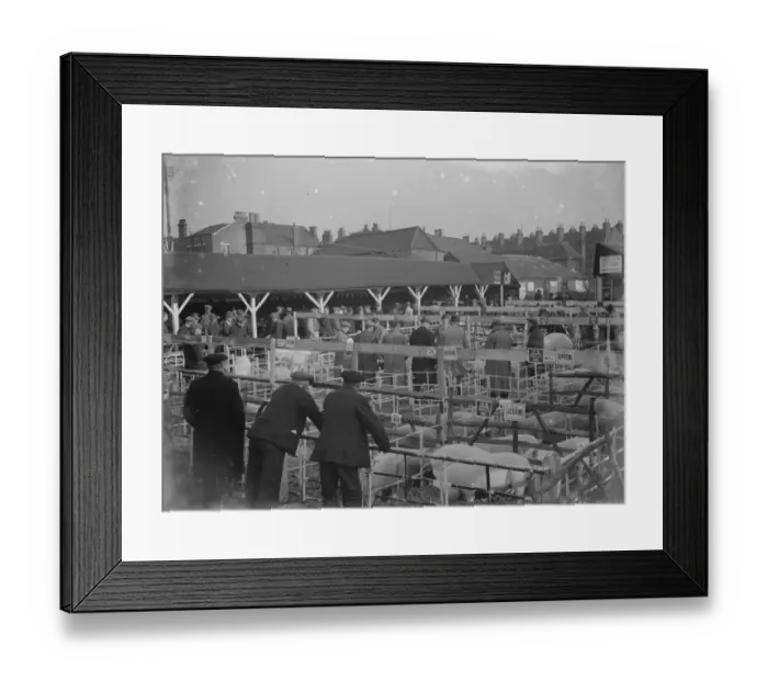 Framed Print : Dartford Fs Show. 1934