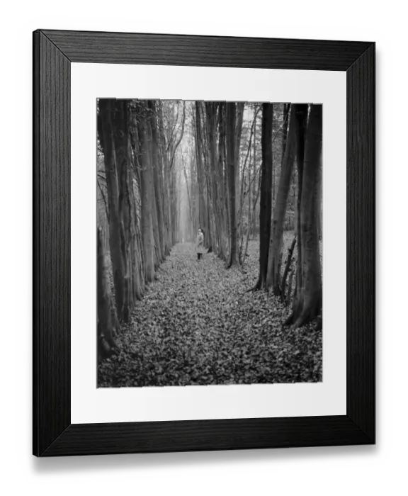 Framed Print : A man stands in an avenue of beech trees in a wood. 1938 Framed Print : A man stands in an avenue of beech trees in a wood. 1938