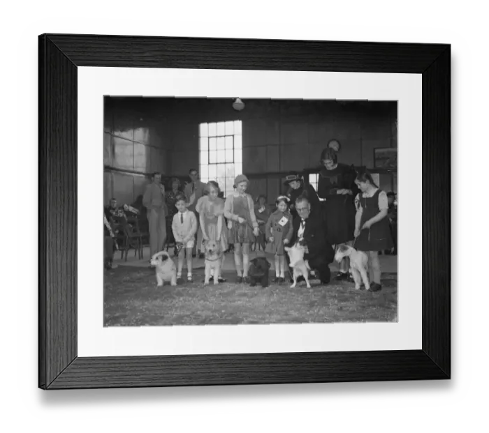 Framed Print : The Mayor of Woolwich at the Peoples Dispensary for Sick Animals ( PDSA ) dog show
