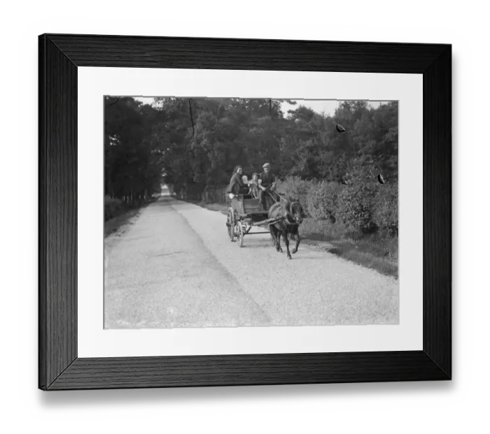 Framed Print : Hop pickers en route to a field. 1939
