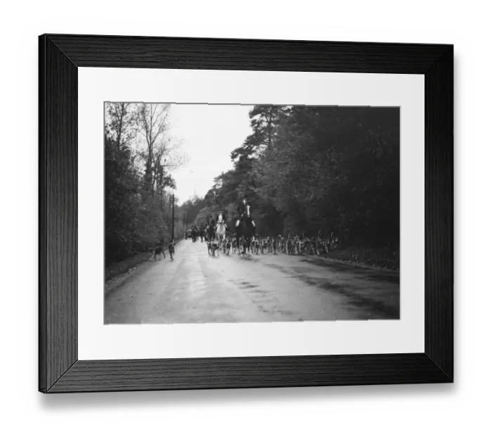 Framed Print : The head huntsman leads the pack along the road. 25 October 1937