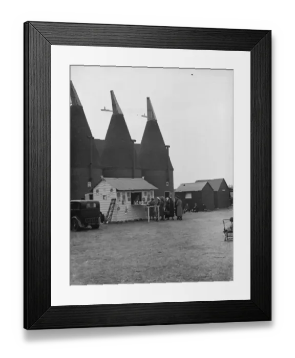Framed Print : Whitbreads hop farm in Belting, Kent. People cueing up at the onsite milk bar Framed Print : Whitbreads hop farm in Belting, Kent. People cueing up at the onsite milk bar