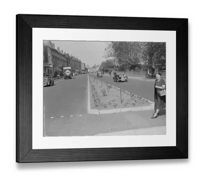 Framed Print : Flowers planted on the central reservation of Orpington High Street, Kent Framed Print : Flowers planted on the central reservation of Orpington High Street, Kent