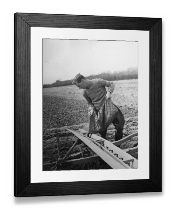 Framed Print : Farmer loading seeds from a sack into a Coopers Drymac seed barrow
