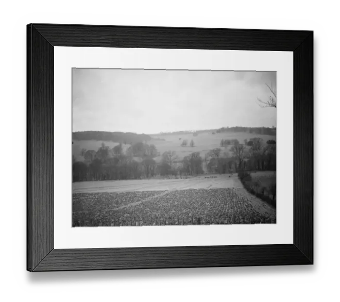 Framed Print : The view of the fields at Preston hill farm estate. 3 February 1938 Framed Print : The view of the fields at Preston hill farm estate. 3 February 1938