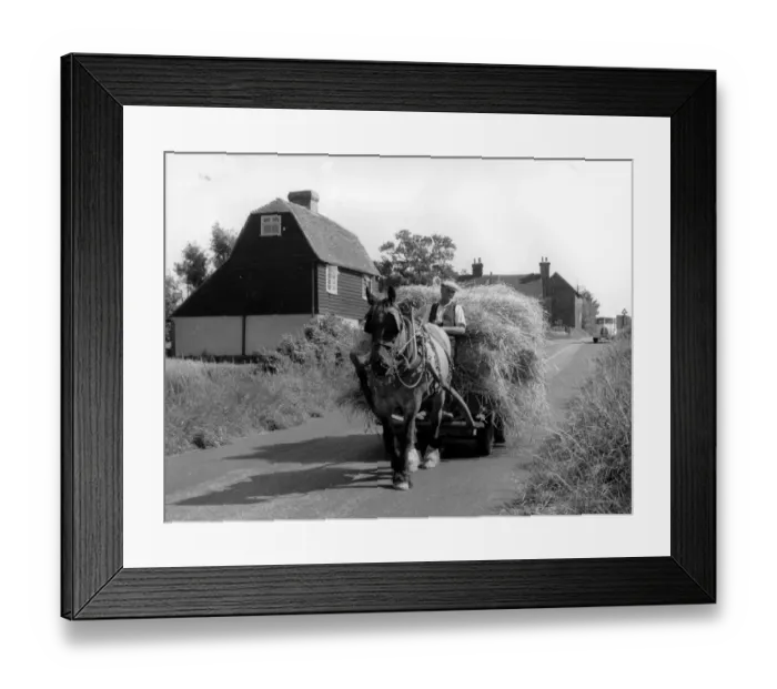 Framed Print : Down a Quiet Country Lane 3 August 1956 Framed Print : Down a Quiet Country Lane 3 August 1956