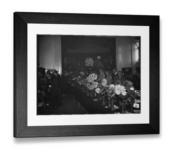 Framed Print : Blooms on show at the Orpington Horticultural Show. 1937 Framed Print : Blooms on show at the Orpington Horticultural Show. 1937