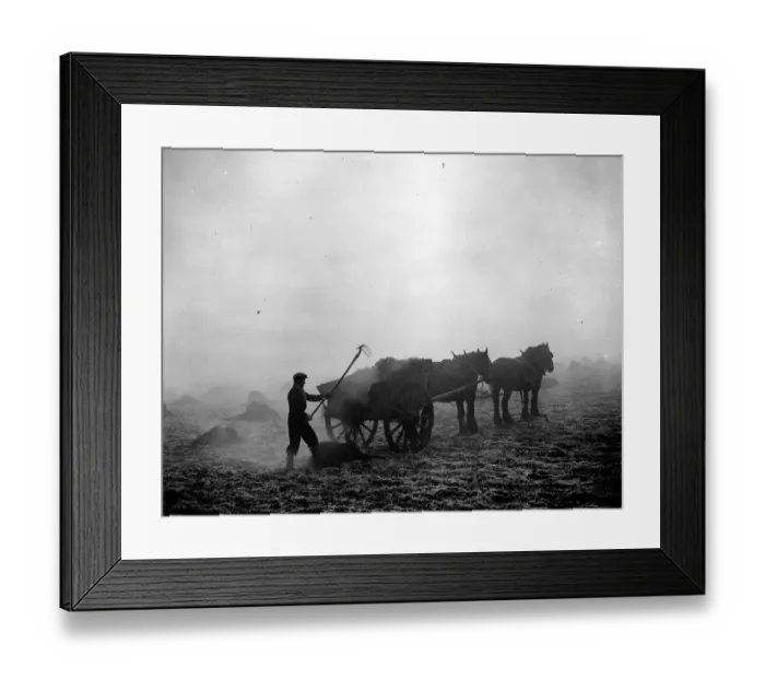 Framed Print : Farming - dung spreading in February 1939