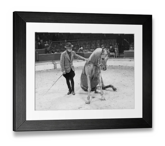 Framed Print : Trainer with his horse rehearsing before a show at the Olympia Circus, London, England Framed Print : Trainer with his horse rehearsing before a show at the Olympia Circus, London, England