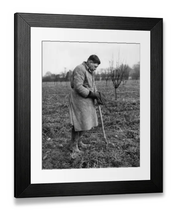 Framed Print : George VI died in 1952. People all over the country kept a two minute silence