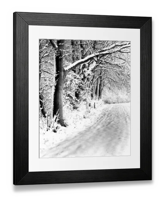 Framed Print : A snowy scene of a road and woods, Downe, Kent, England. 3 February 1962 Framed Print : A snowy scene of a road and woods, Downe, Kent, England. 3 February 1962