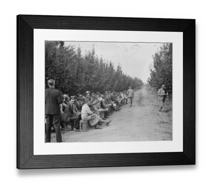 Framed Print : The Conference day at the East Malling Research Station in Kent. 14 September 1938