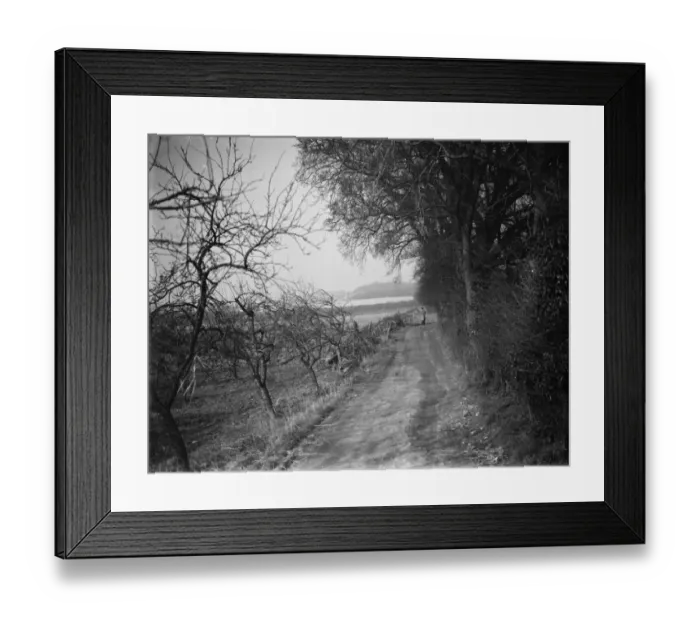 Framed Print : A path through Farningham Woods, Kent. 1938 Framed Print : A path through Farningham Woods, Kent. 1938