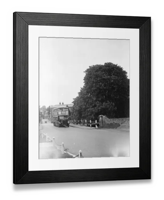 Framed Print : The well - known Chestnut tree by the bridge at Farningham, Kent. 1935