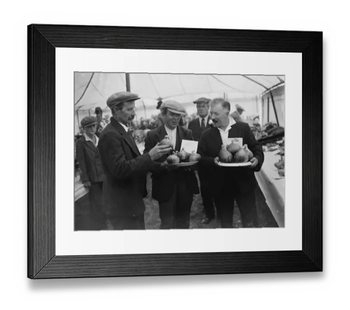 Framed Print : Prizewinners at a Horitcultural Garden show. 1935 Framed Print : Prizewinners at a Horitcultural Garden show. 1935