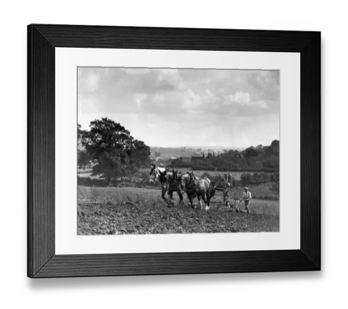 Framed Print : Two pictures on the L. C. C. housing estate at St Pauls Cray, Kent where houses where Framed Print : Two pictures on the L. C. C. housing estate at St Pauls Cray, Kent where houses where