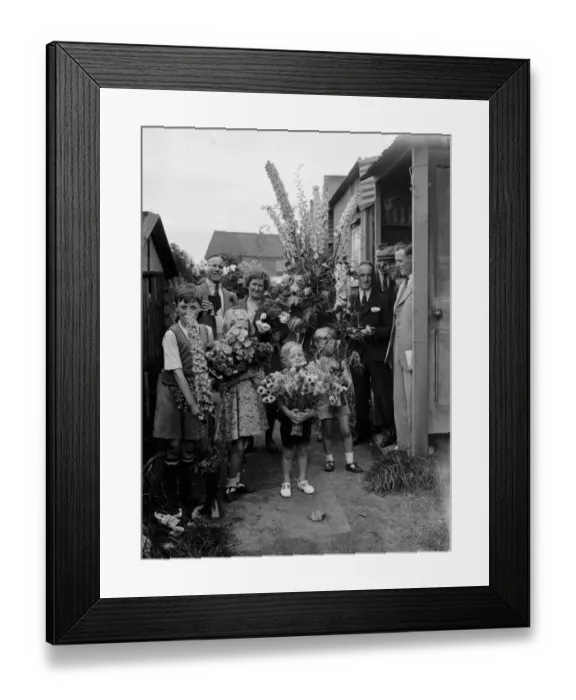 Framed Print : The Lamorbey flower show in Sidcup, Kent. 1936 Framed Print : The Lamorbey flower show in Sidcup, Kent. 1936