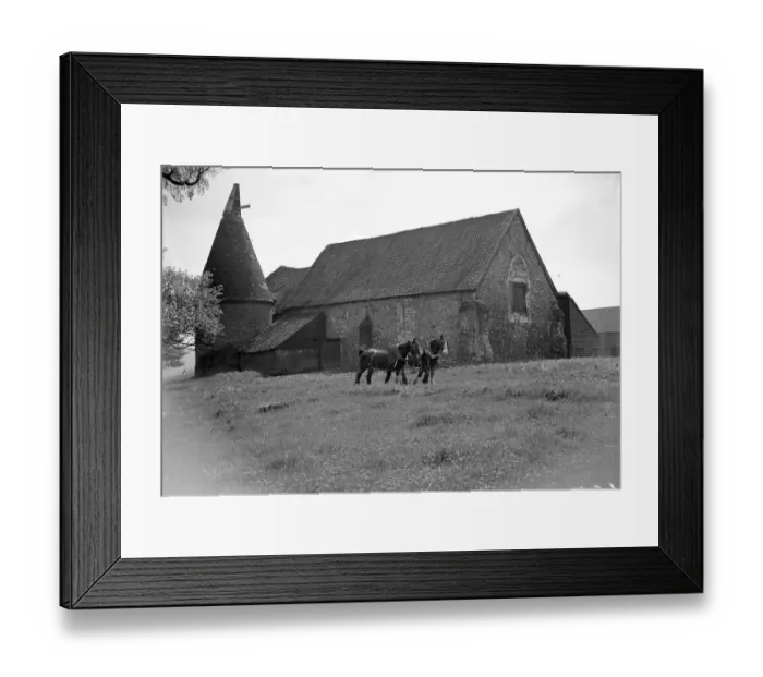 Framed Print : Horses on a field in front of a Barn Church with oast house  /  hop kiln