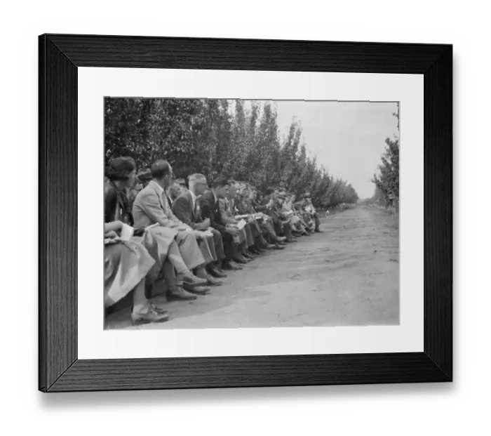 Framed Print : The Conference day at the East Malling Research Station in Kent. 14 September 1938 Framed Print : The Conference day at the East Malling Research Station in Kent. 14 September 1938